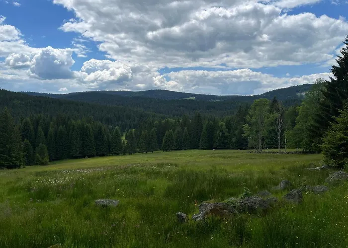 Apartman Strazny Apartment